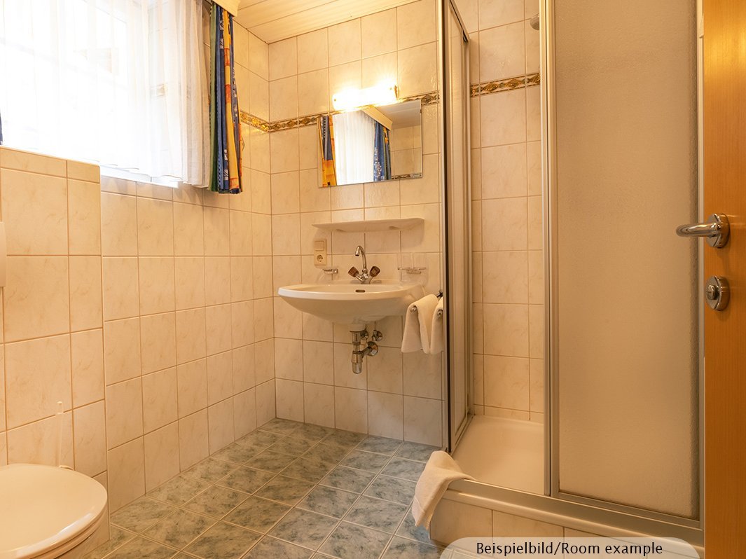 Das Bild zeigt Waschbecken mit Spiegel, Dusche, WC, Lichtschalter, Steckdose, Fenster