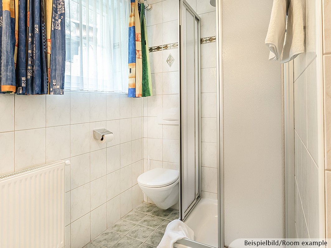 Das Bild zeigt Toilette und Dusche 